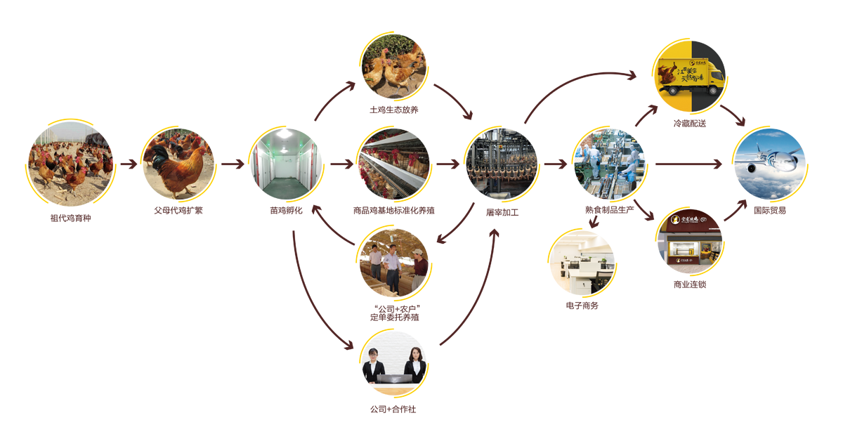 1544165798137568.png chain.png